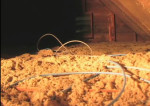 blown in cellulose insulation in an attic with some loose wires