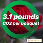 red rose with green circle and slash with text 3.1 pounds CO2 per bouquet