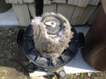 dirty shop vac filter covered with lint and dust