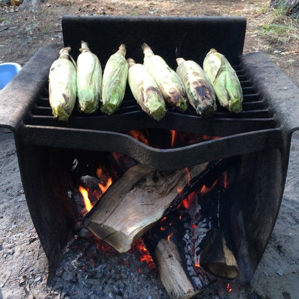 grilled corn over campfire