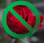 Red rose with a green No symbol